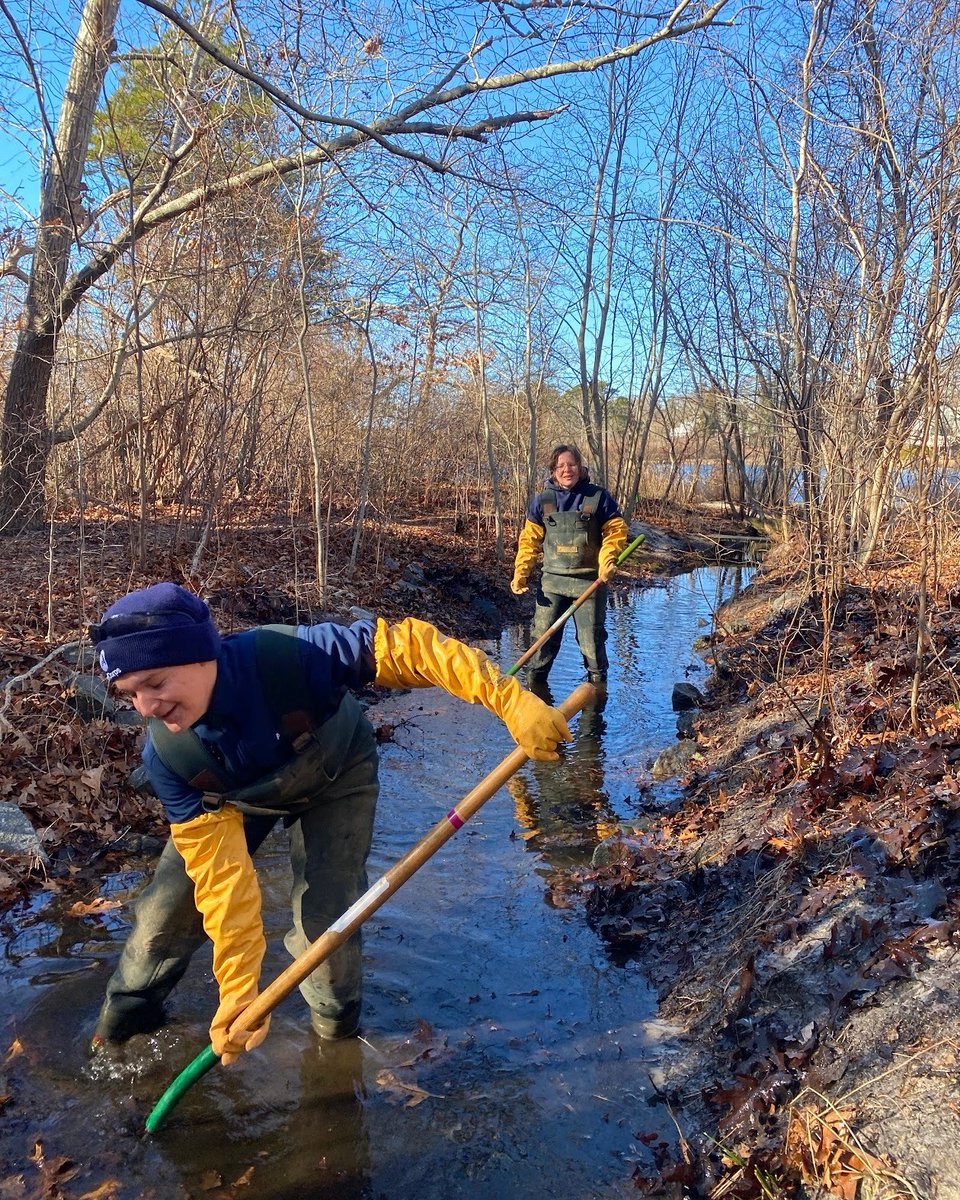 AmeriCorpsCC's tweet photo. Service members = wildlife protectors 💪 #ShorebirdFencing #HerringRun #CapeCod #BarnstableCounty #ProtectedHabitats https://t.co/CDYKOyth9z