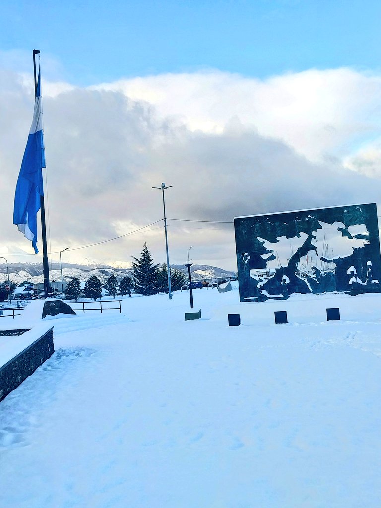 Lili Sur tweet media