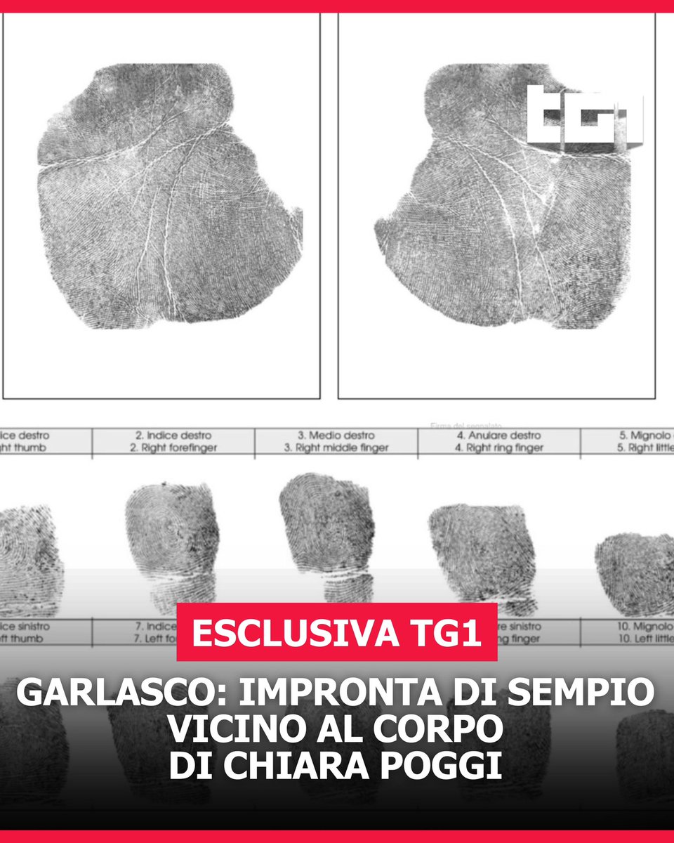 Tg1Rai's tweet image. Ci sarebbe l’impronta di Andrea #Sempio accanto al cadavere di Chiara #Poggi. Lo rivela una perizia disposta dalla procura di #Pavia in merito ai nuovi accertamenti disposti per fare luce sul delitto di #Garlasco.

#Tg1