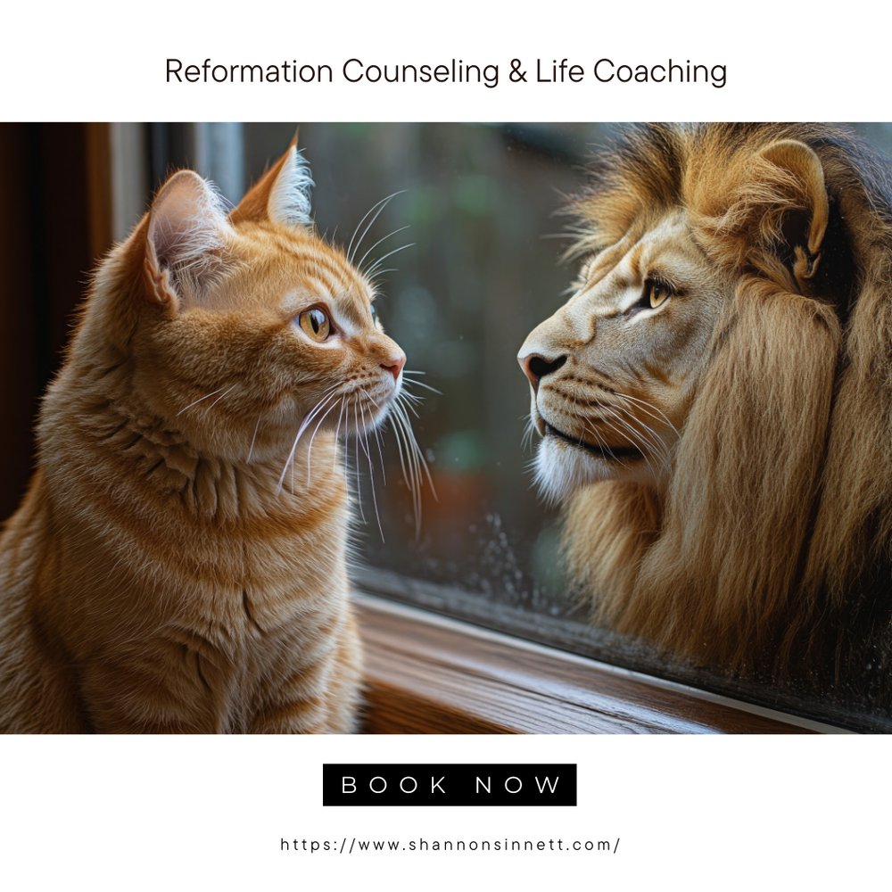 ReformationCLC's tweet photo. Your future is in your hands. With life coaching, we guide you in setting goals, building confidence, and creating the life you want. The first step starts today! #LifeCoaching
https://t.co/G9Yd0pEK44 https://t.co/xRFDXV8Ta3