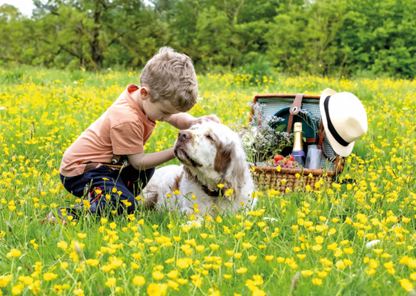 📷 -Stephen Garnett Photography