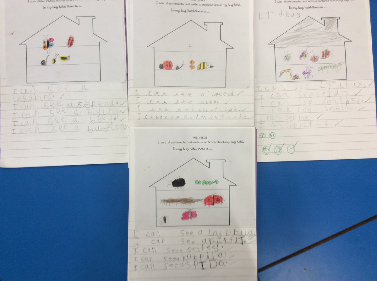 MissLewisconway's tweet photo. I am so impressed with how hard the Reception children have worked today! #veryproudteacher #conwaycrew #wearecreate @MrGunchala @MrsZamirConway https://t.co/uj5CtMsXjc