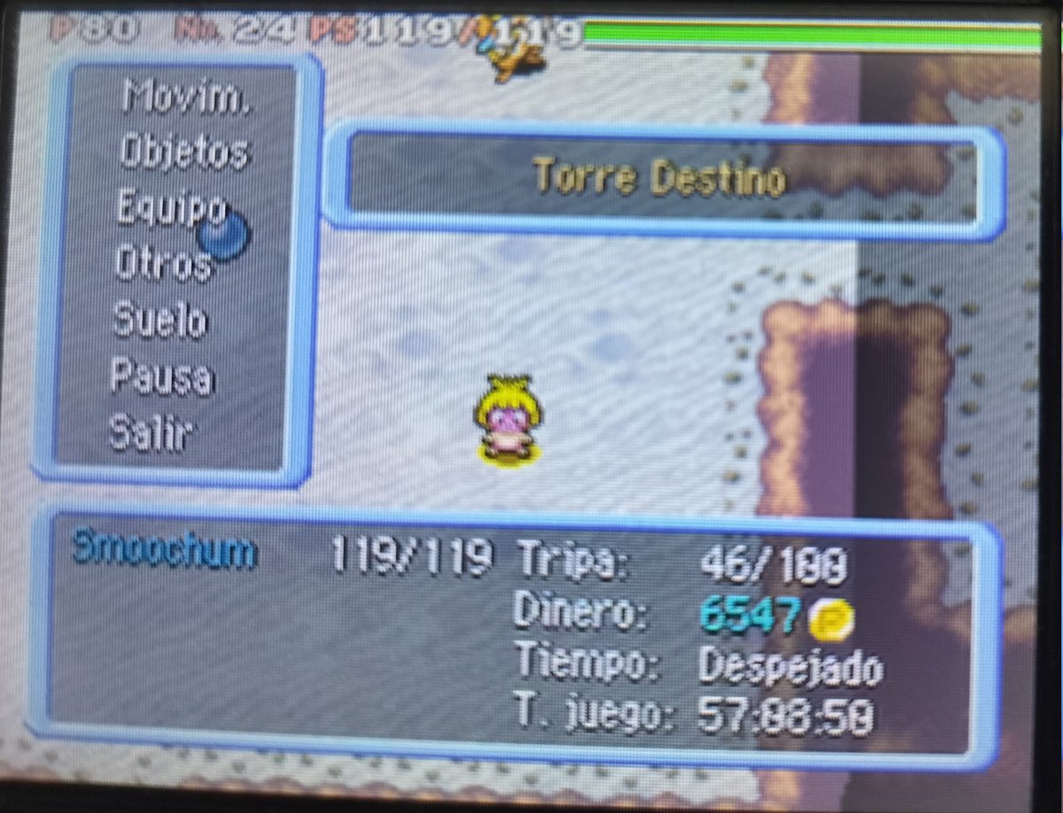 💧 PokeRuiiz ⭐ tweet media