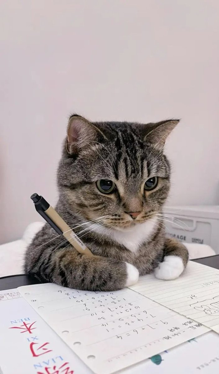 PostsOfCats's tweet photo. Studying https://t.co/QrCq5XOe0V