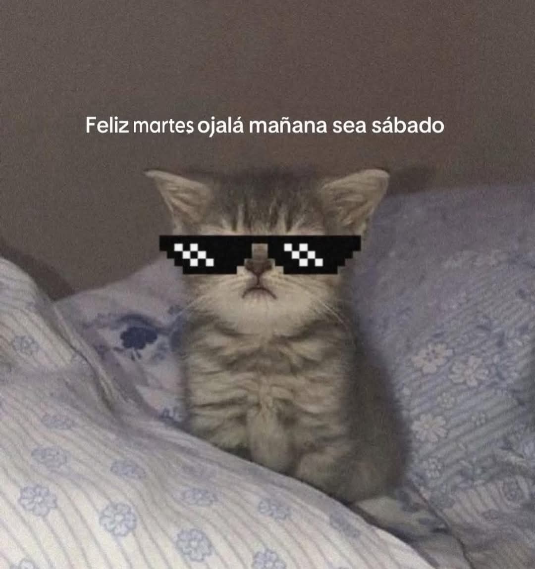 En Júpiter tweet media