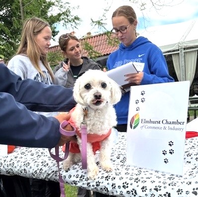 View photo page from the Spring Road Business Association's 32nd Annual Pet Parade on May.  ow.ly/i5Ou50VVJyL