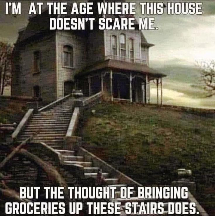 Final Guys tweet media