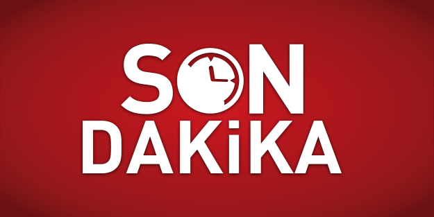 Mert77622347's tweet photo. ⚠️Ve Müjdeli Haber Geldi.⚠️

Türk ve Alman yetkililer arasında 2 aydır süren görüşmeler olumlu sonuç verdi.

SOKAK CANLARI ALMANYA YOLCUSU..⤵️⤵️
#SokakHayvanlarıSahipsizDeğil 
#CanlarAlmanyaYolcusu https://t.co/LvNNC828zm