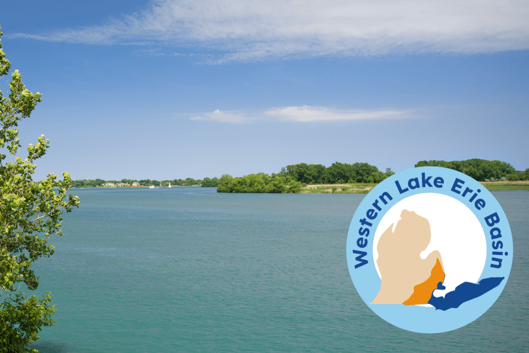 MichDeptofAg's tweet photo. @MichDeptOfAg, @MichiganEGLE &amp; @MichiganDNR today released an updated Domestic Action Plan with new measures to reduce the phosphorus loading that drives harmful algal blooms in Lake Erie. Read more: https://t.co/JMaa2mHZNR https://t.co/qeAEchqY2T