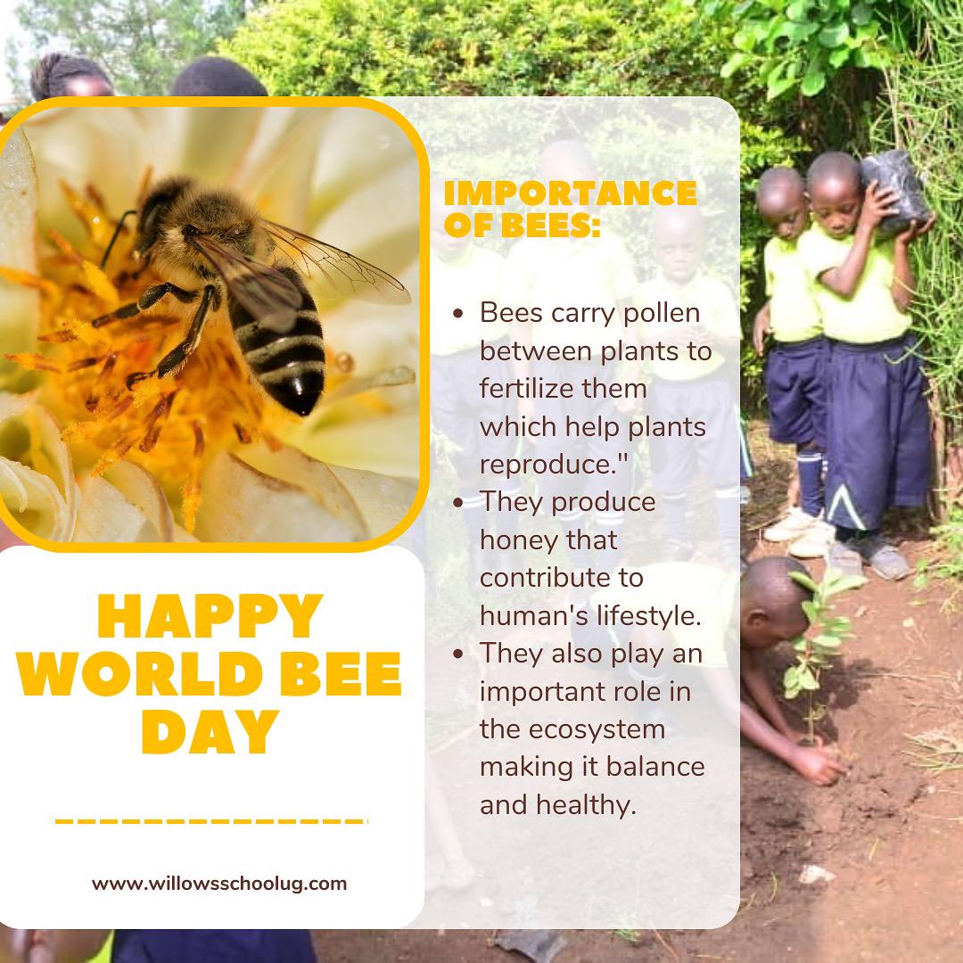 A TREESTORY🌲🌲🌍(COMMUNITY AT UNITY)🇧🇪🇧🇪🇧🇪 tweet media