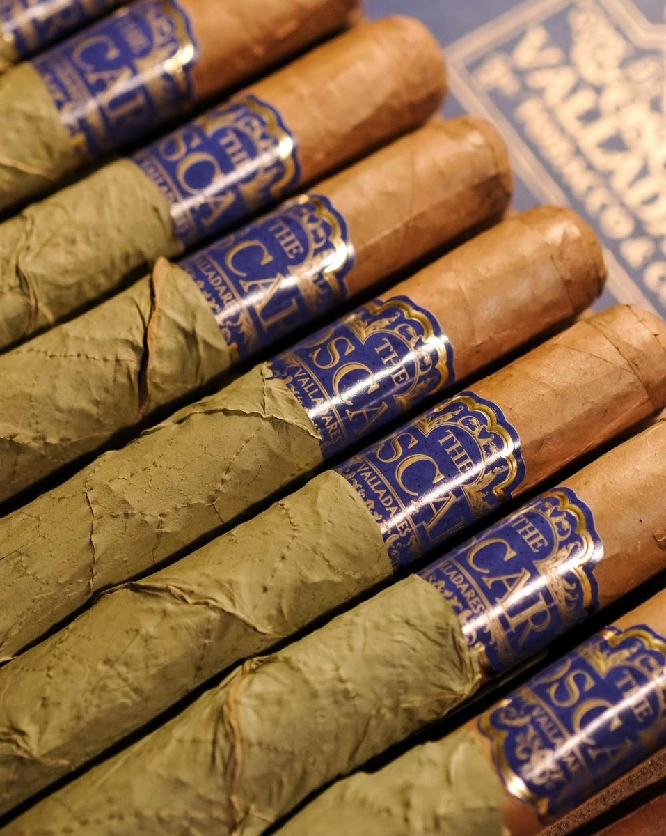 ovcigars's tweet photo. 📸: @ manuels_zurich
Perfect to start the day… or end it right.🔥
The Oscar Connecticut
#ovcigars #oscarcigars #cigaraficionado #botl #sotl #cigartime
#cigarlover #cigarjournal #lifestyle #cigarlifestyle
#cigarpassion #cigarsnob #cigars https://t.co/Hms7jevIy1