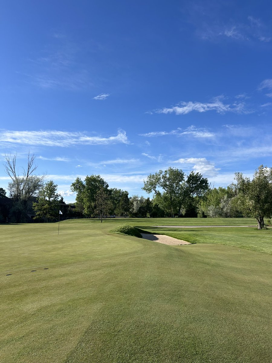 GordonSpliff's tweet image. Yes that’s a wooden flagstick #expand