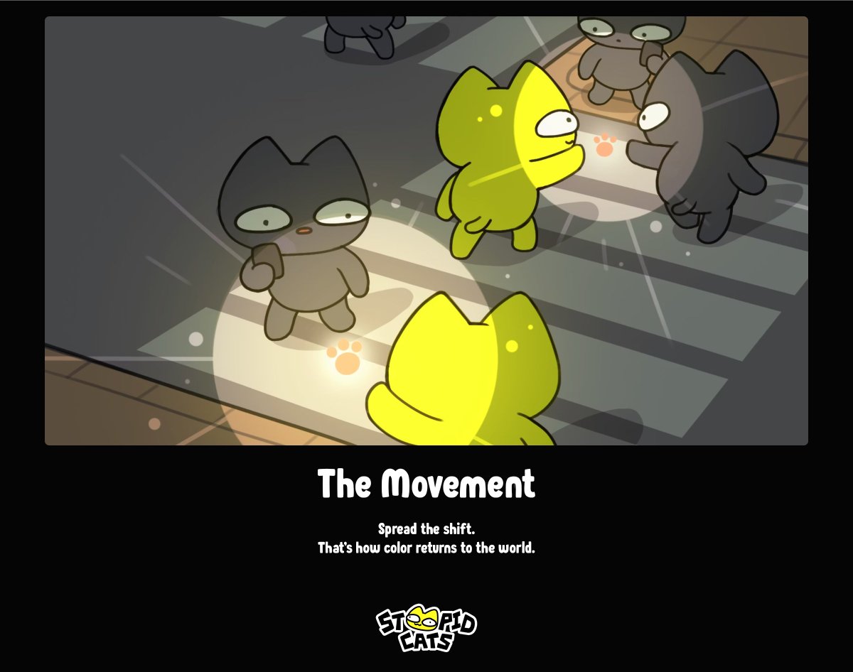 Stoopid Cats (@x_stoopidcats_x) on Twitter photo 