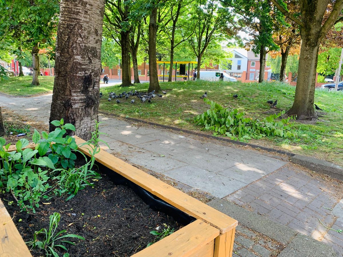 This corner of Lodge Lane had been plagued by fly tipping - old furniture, household waste &amp; junk. 
GTDT organised a planter and invited local people to grow their own flowers and herbs. The planter is thriving &amp; helps the area feel loved - the site has stayed tidy and become an