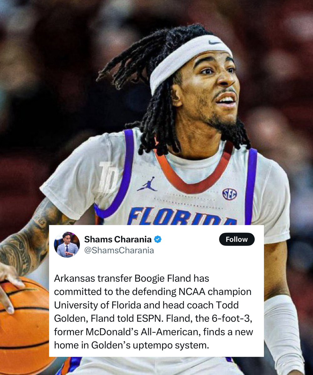 TODD GOLDEN STRIKES AGAIN

BACK-TO-BACK INBOUND 🐊🏆