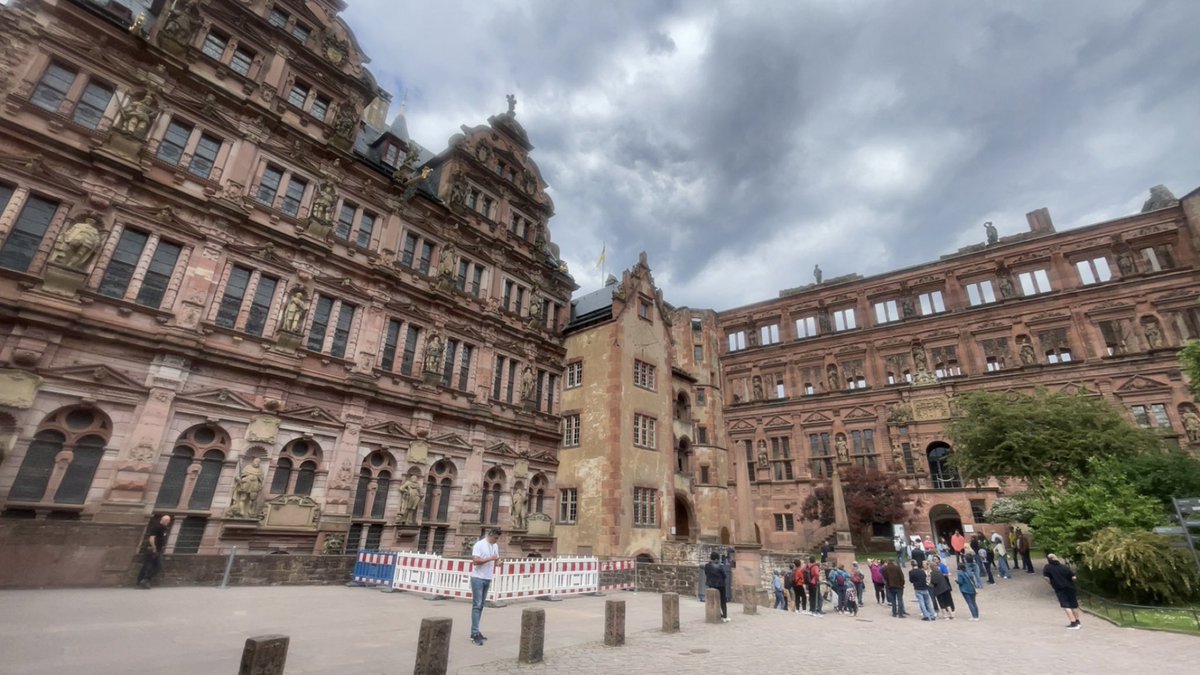 Hanan Alharbi tweet media