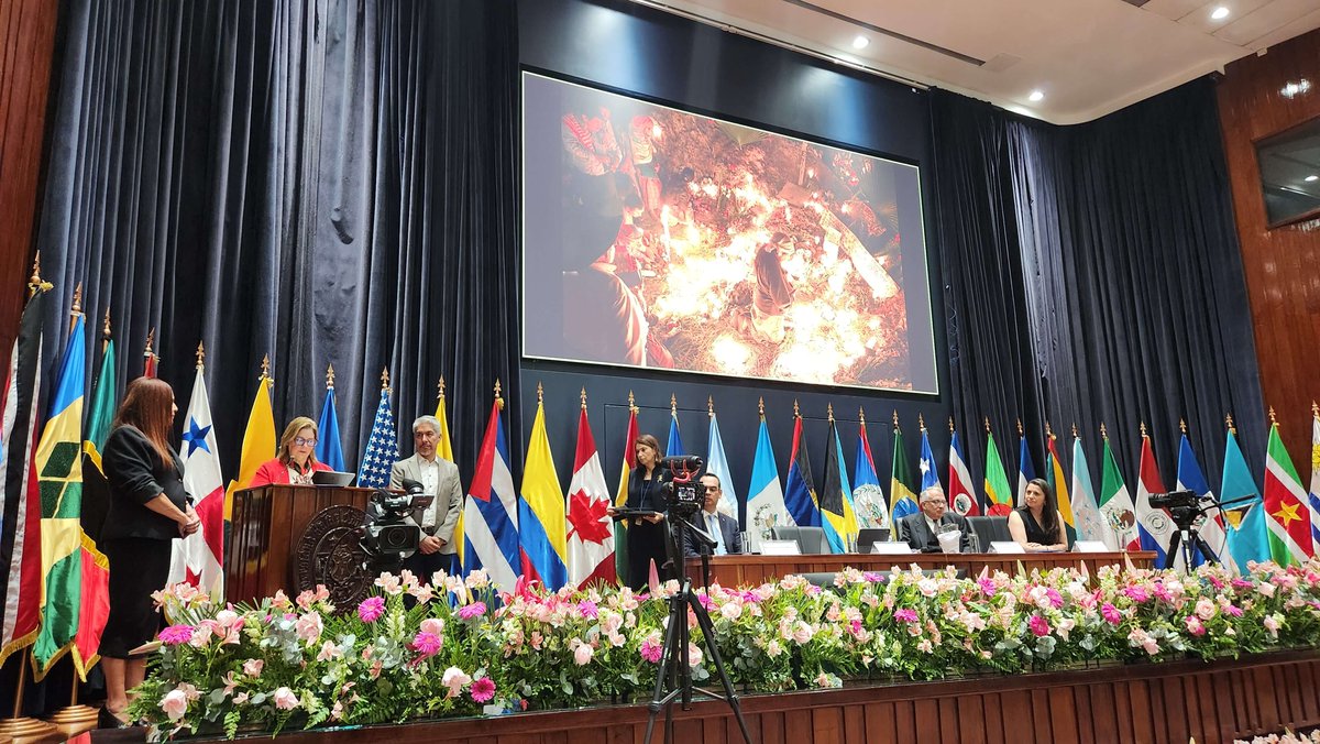 Avocats sans frontières Canada tweet media