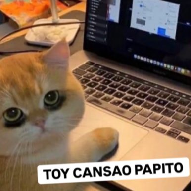 Soy este