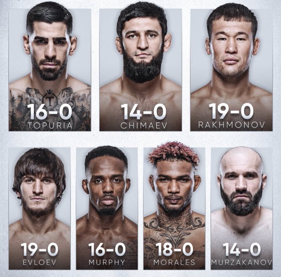 Los mejores invictos de la UFC