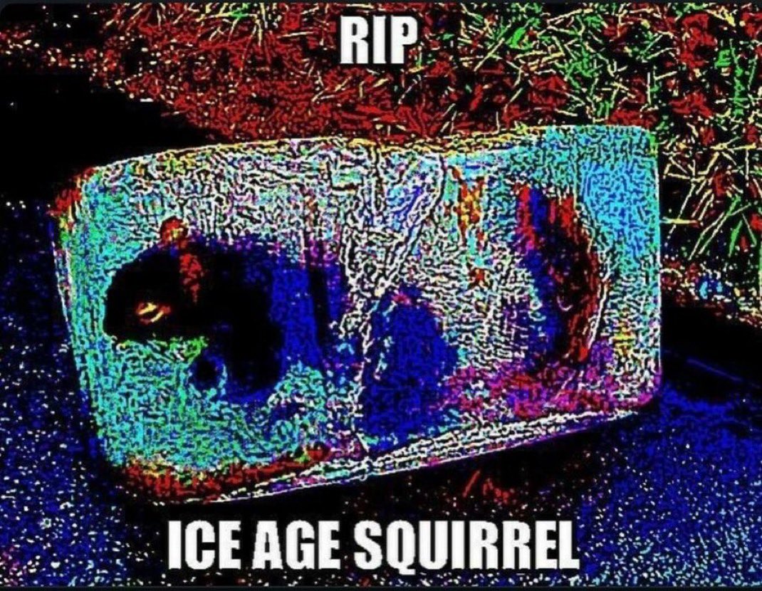 deepfriedSOL's tweet photo. $fried https://t.co/ZzXJR6dnDF