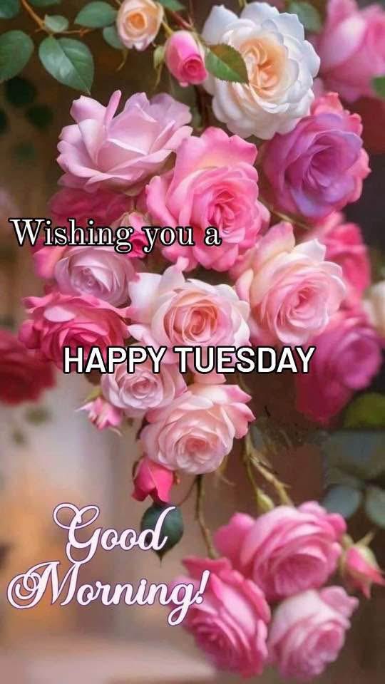 FlaviaF_1310's tweet image. Happy Tuesday! #mayflowers #FlowersOnX  "As it fell upon a day
In the merry month of May,
Sitting in a pleasant shade
Which a grove of myrtles made."
-  Richard Barnfield