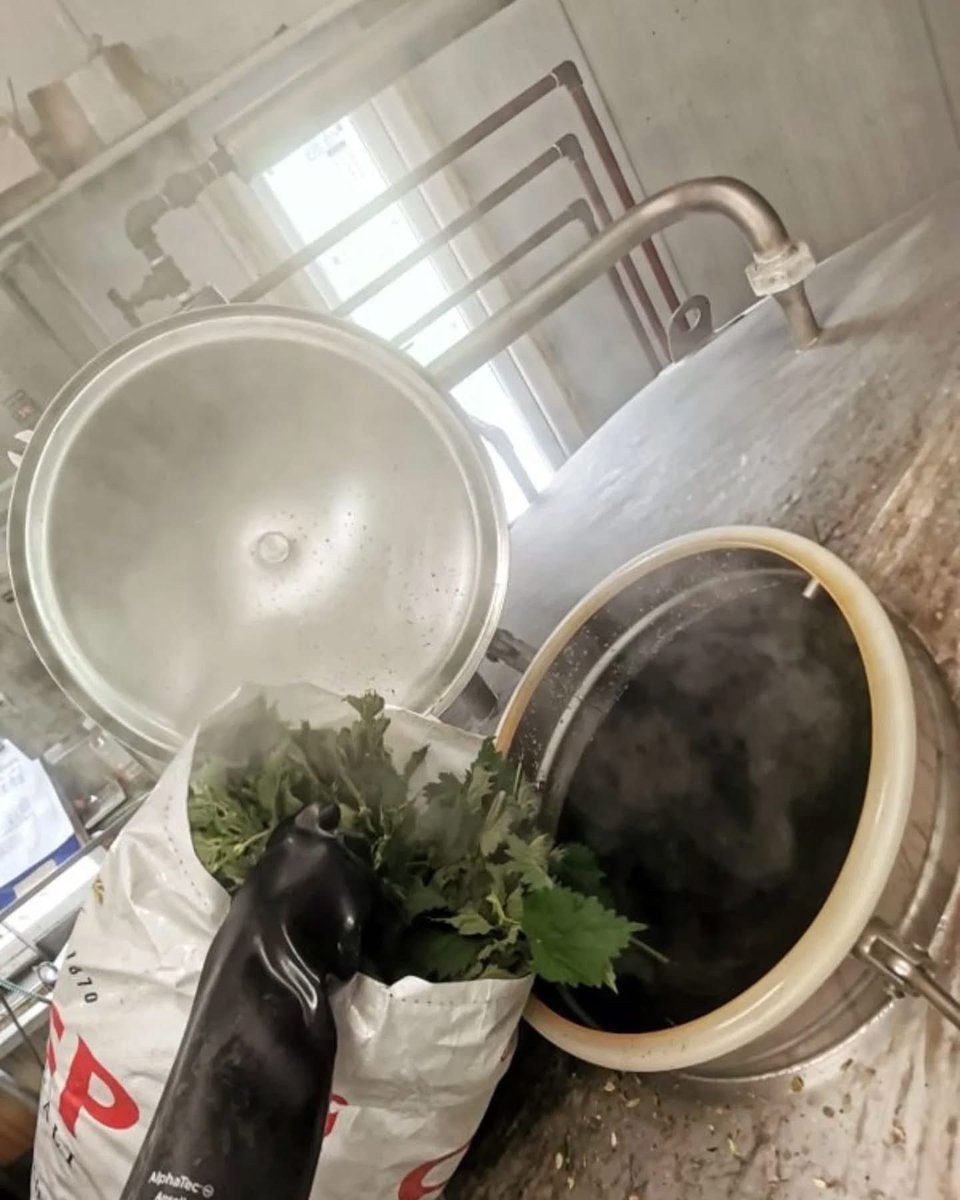 Today is #WorldBeeDay - a day to celebrate the polinators and the essential role they play in our ecosystems.
What better day to announce our newest seasonal ale, "Nettle Nectar". Brewed using local <a href="/SheffieldHoney/">The Sheffield Honey Company 🍯🐝</a> collected  his hives in Low Bradfield, coming soon.