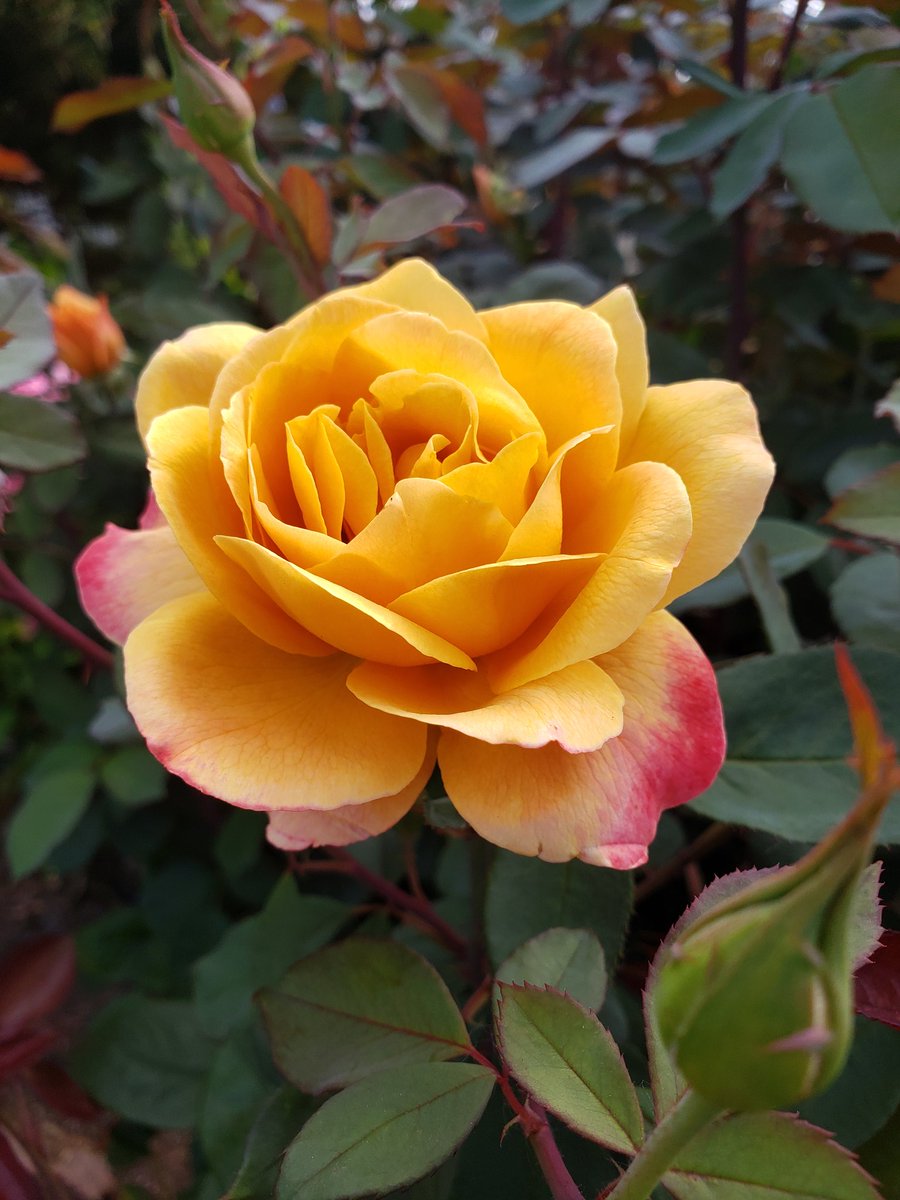 Good morning world...
Show your personal beauty today.

<a href="/BeautifulPress/">Beautiful Press</a>