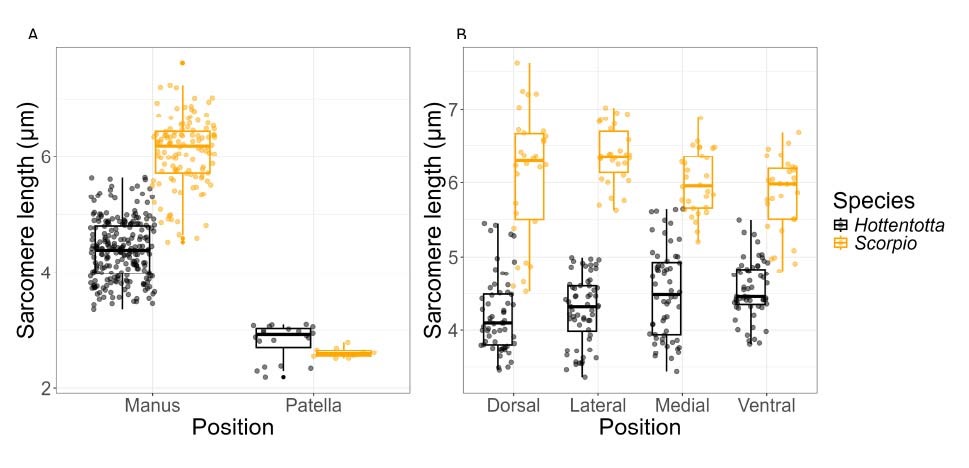 Yuri Simone tweet media
