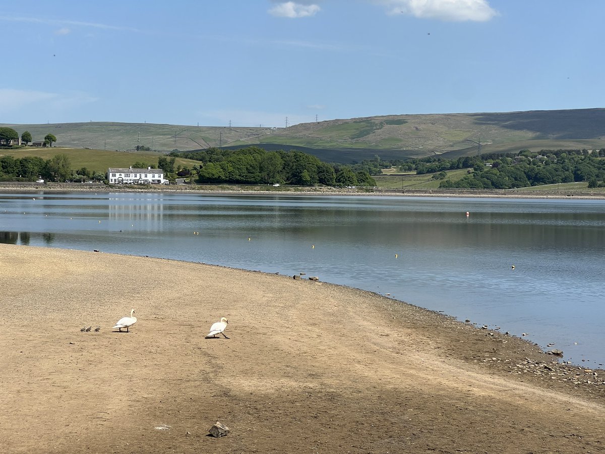 Emma Goswell (@emmagoswell) on Twitter photo Hey <a href="/bbcweather/">BBC Weather</a> and <a href="/BBCNWT/">BBC North West</a> - check out this pic of 3 cygnets 🦢 and their parents trying to find the water in a very dry Hollingworth Lake today.… ☀️ Hey <a href="/bbcweather/">BBC Weather</a> and <a href="/BBCNWT/">BBC North West</a> - check out this pic of 3 cygnets 🦢 and their parents trying to find the water in a very dry Hollingworth Lake today.… ☀️