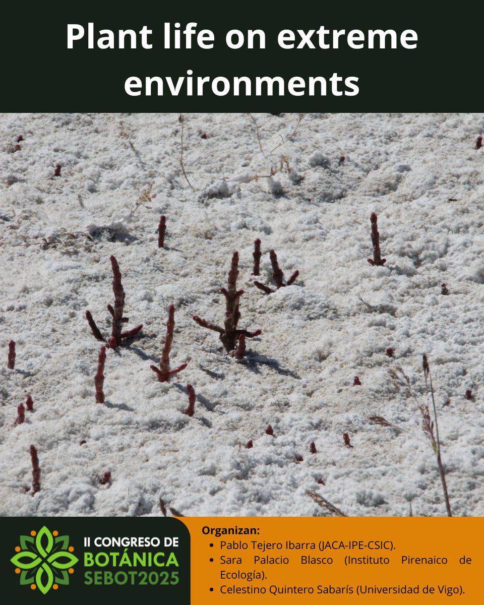 🌿 ¿Te fascina cómo las plantas sobreviven en ambientes extremos?
Envía tu resumen al simposio Plant life on extreme environments en #SEBOT2025
 📍Sevilla, 22–25 sept
 🗓️Deadline: 30 mayo
Organizan: P. Tejero, S. Palacio &amp; C. Quintero
 🔗 goo.su/XJ5IL0