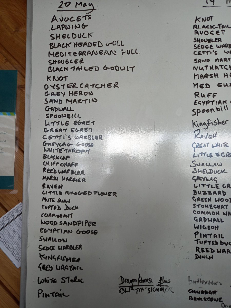 Spoonbills are busy making their nest and a stork has flown over this afternoon. Sand martins are busy as usual. Lots of Knots are still around on the main scrape. #sightings