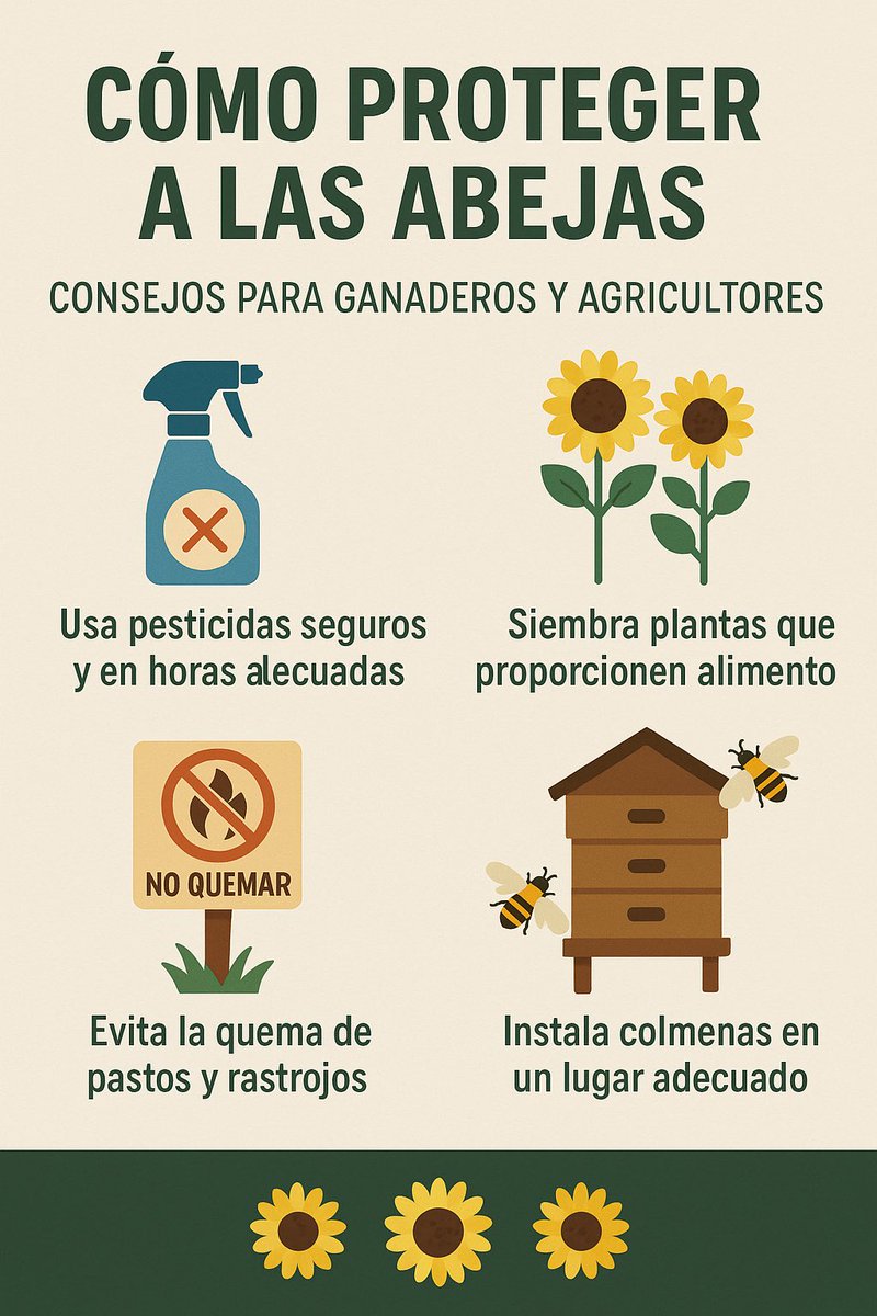 Pl_hatocorozal's tweet photo. Hoy es el Día Mundial de las Abejas 🐝

Sin ellas, no hay polinización, ni alimentos, ni vida. Desde Hato Corozal invitamos a protegerlas 🌾💛

📌 Mira esta infografía práctica y súmate al cambio.

#DíaMundialDeLasAbejas #GanaderíaSostenible 
@Fedegan @plelbanco @PL_Zipaquira https://t.co/HZrAQDS3C0