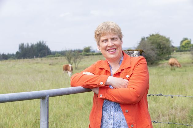 Farming Independent (@farming_indo) on Twitter photo ‘My accountant gave me bad advice and now I’ve been hit with a big tax bill. Can I sue him?’ independent.ie/farming/legal-… ‘My accountant gave me bad advice and now I’ve been hit with a big tax bill. Can I sue him?’ independent.ie/farming/legal-…