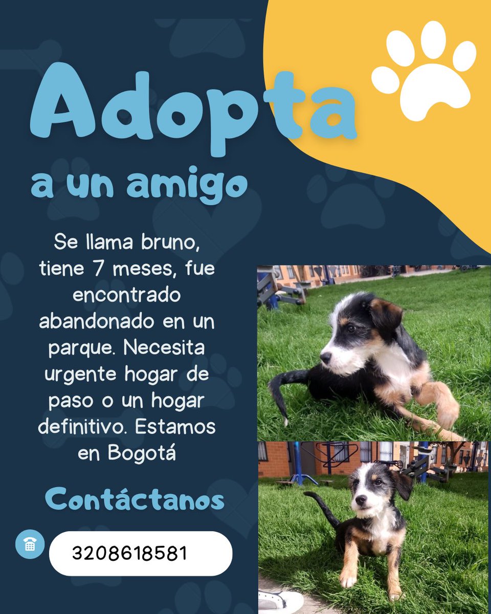 Alejandra monroy tweet media