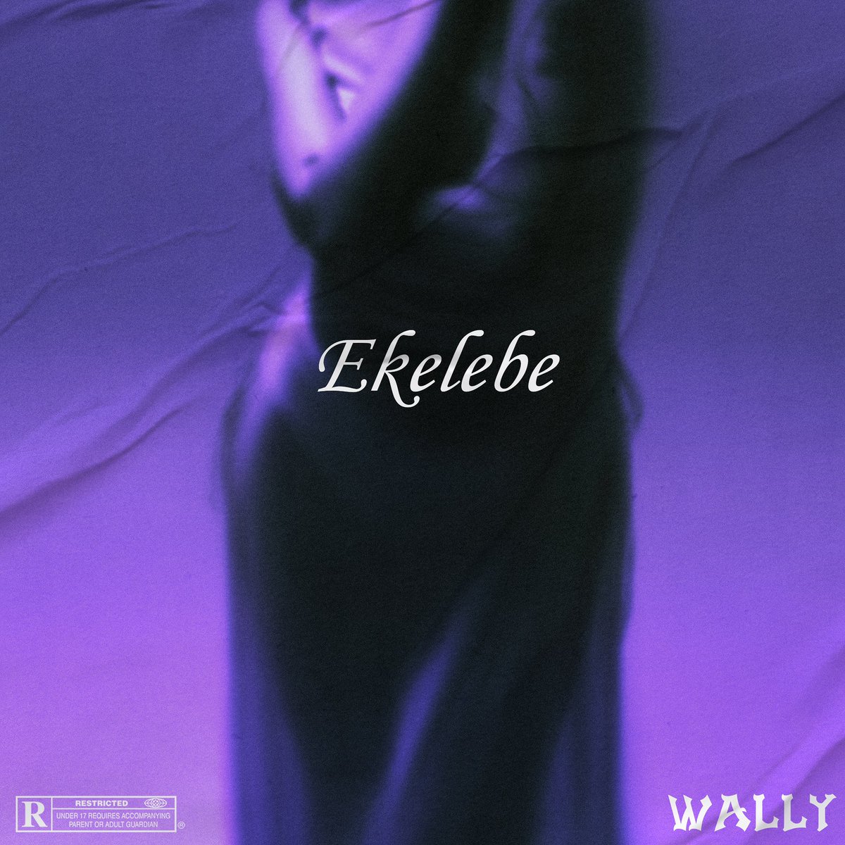 iamwally_xo's tweet photo. EKELEBE DROPS MAY 22ND.. PRE -SAVE LINK 

https://t.co/R1IJkXa9SC https://t.co/ReZC6L6J4i