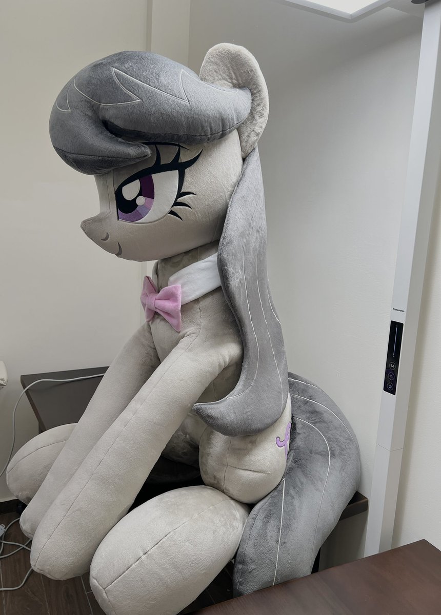 50kilosofhope's tweet photo. Life-sized plushie  completed!  
With a length of 1.6m when lying on its side, it's perfect for hugging while sleeping🥹!  
Octavia Melody is even cuter than I imagined! What do you think?  
#MLPFIM #plushie #Octavia https://t.co/Ho3gdTPPhw
