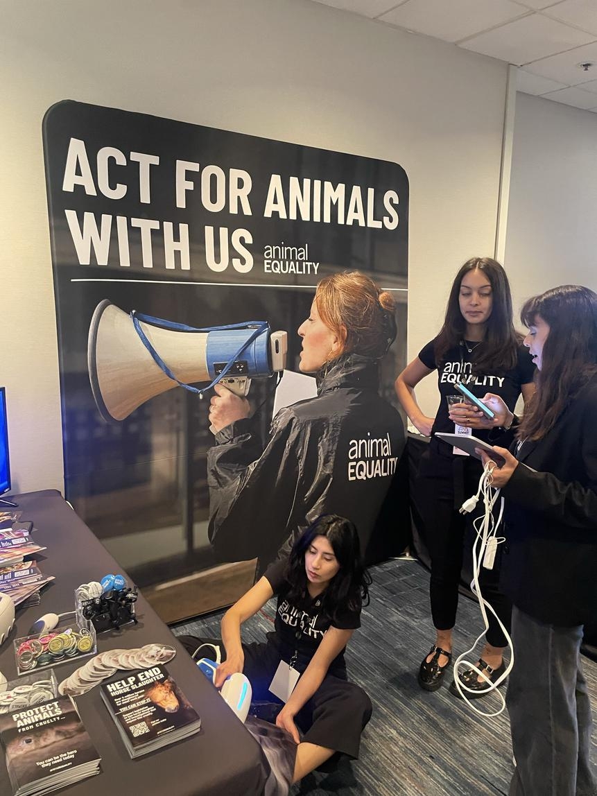 llegofarm's tweet photo. #AvaSummit 2025 junto a Casa Vegana♥️
Algunas de las organizaciones veganas que estuvieron presentes. Cada una con un estilo diferente, pero una misma visión. Liberación Animal. https://t.co/1v6eoRAa2O