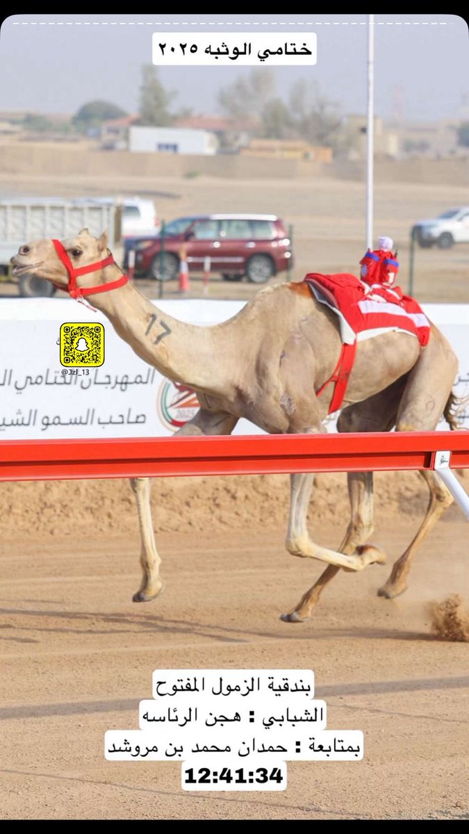 bin_alrai's tweet photo. #رئيس_الدولة ألف مبروك حكومة وشعب على انتزاع الرموز  #ختامي_الوثبة2025 https://t.co/2KSIhQ3jkv