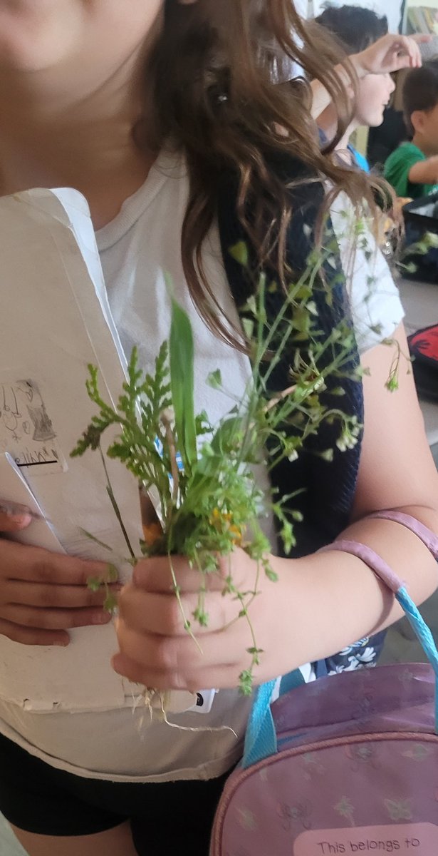 "I made a bouquet for you!" -A.T.  💓