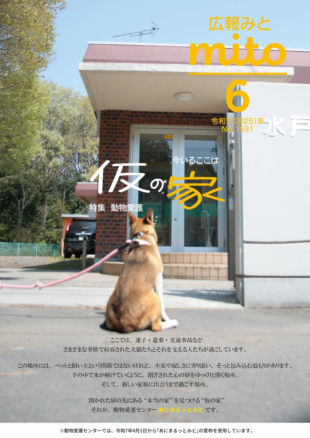 水戸市【公式】 on X: 