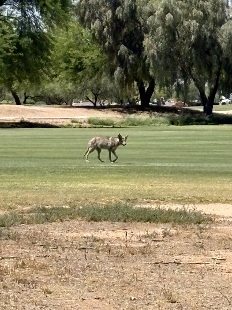 Jack Robinson tweet media