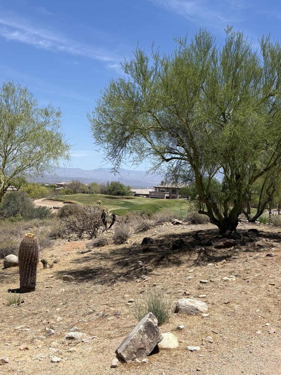 Jack Robinson tweet media