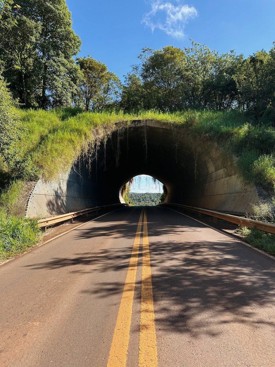 📍Ecoducto Misiones. 🌿