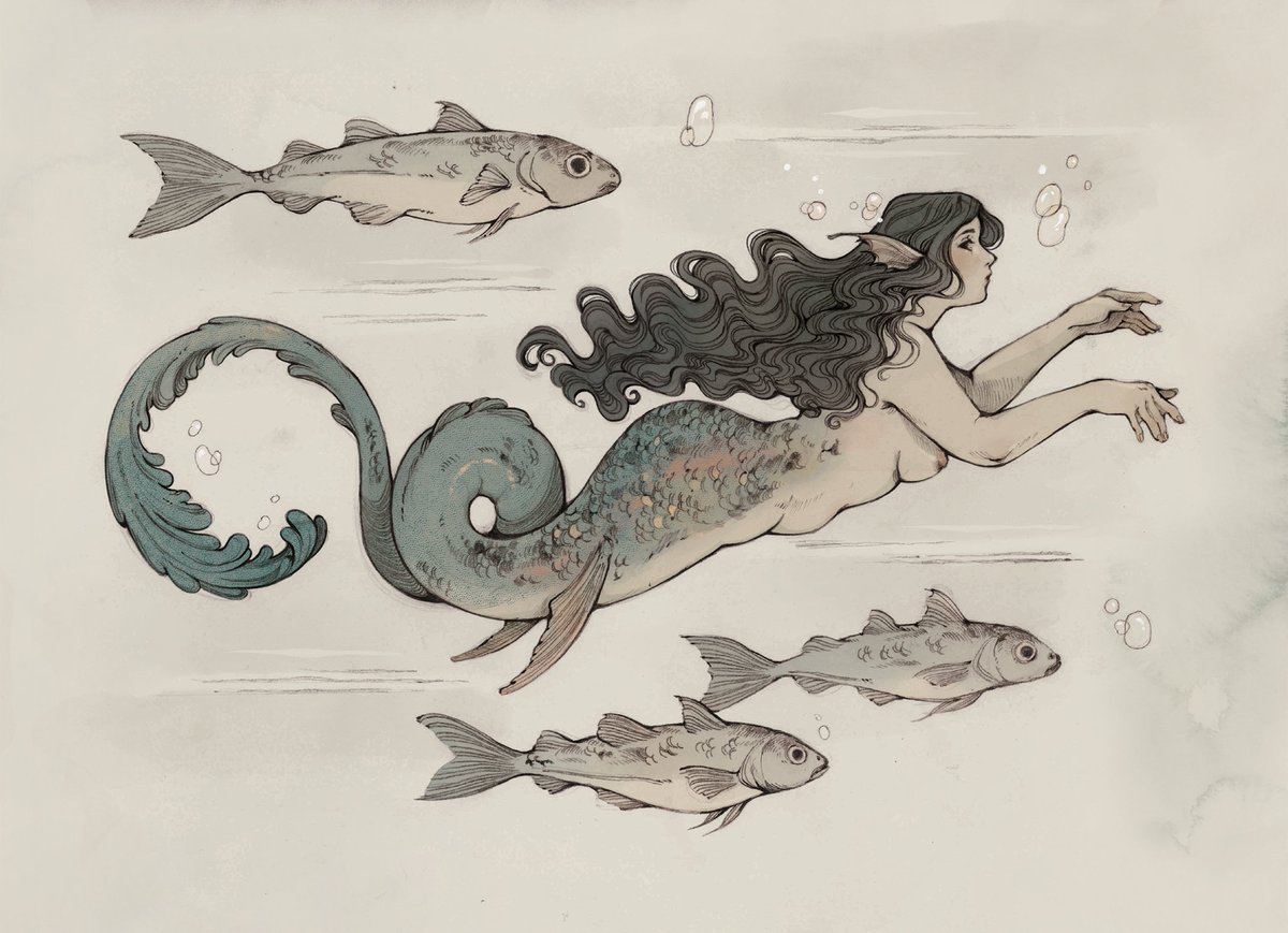 Karlovy Cross tweet media