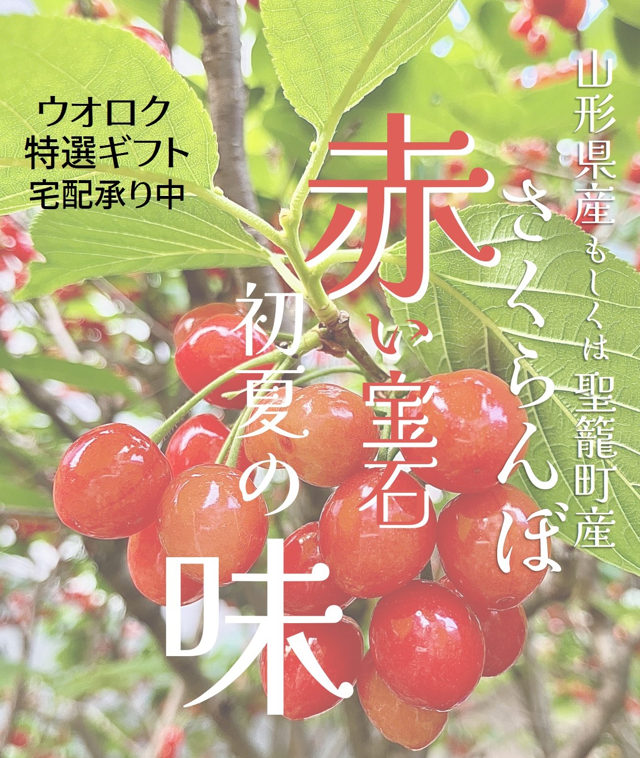AY19世紀　シチリア伝統菓子の型4個　モールド　さくらんぼ　魚　花 ナカ貿易株式会社 / Naka Trading Co., Ltd. / 果物柄 26800-18