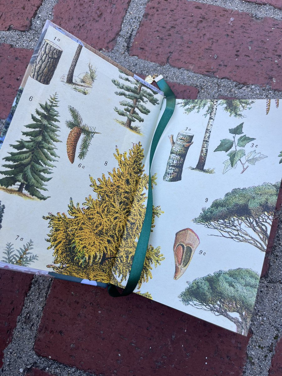 bee ☕️🪡 tweet media