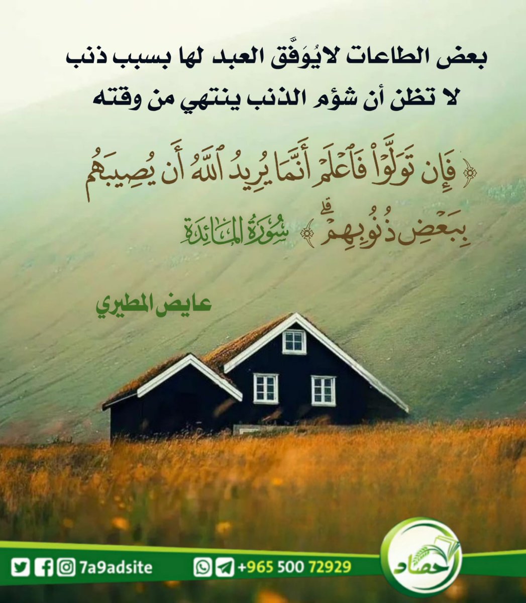 حصاد tweet media