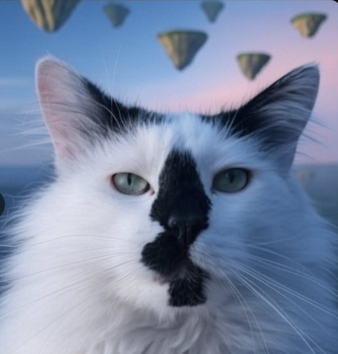 Feels like the calm before the storm.. Meow 🐱

$UFD
$JASPER