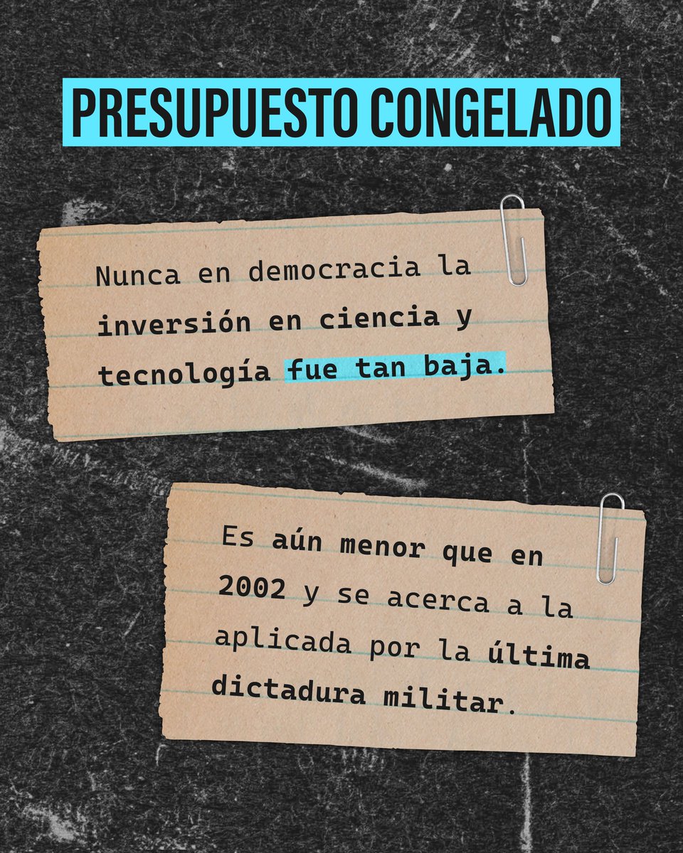 instituto de arqueologia UBA tweet media