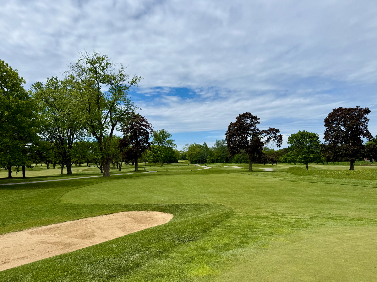 A different perspective on one of Mt. Prospect’s most iconic holes—looking back from the 12th green toward the tee. Strategic bunkering, elevation change, and a timeless design make this par 3 unforgettable from every angle. 

#ChicagolandGolf #HistoricGolf #GolfPhotography